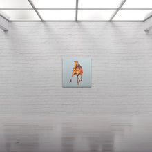 Load image into Gallery viewer, The Stallion 🐎