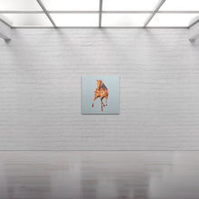 Load image into Gallery viewer, The Stallion 🐎
